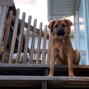 Meet your Posher, Lisette